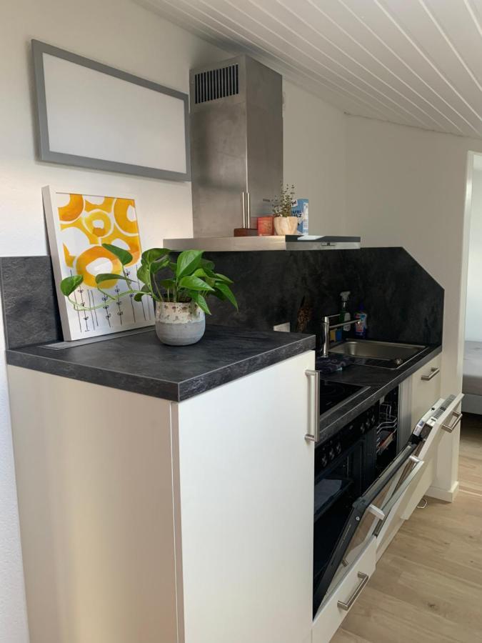Schoene, Grosse Ferienwohnung Direkt Am Donauradweg & Keltenstadt Heuneburg Herbertingen Exterior photo
