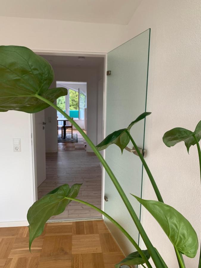 Schoene, Grosse Ferienwohnung Direkt Am Donauradweg & Keltenstadt Heuneburg Herbertingen Exterior photo
